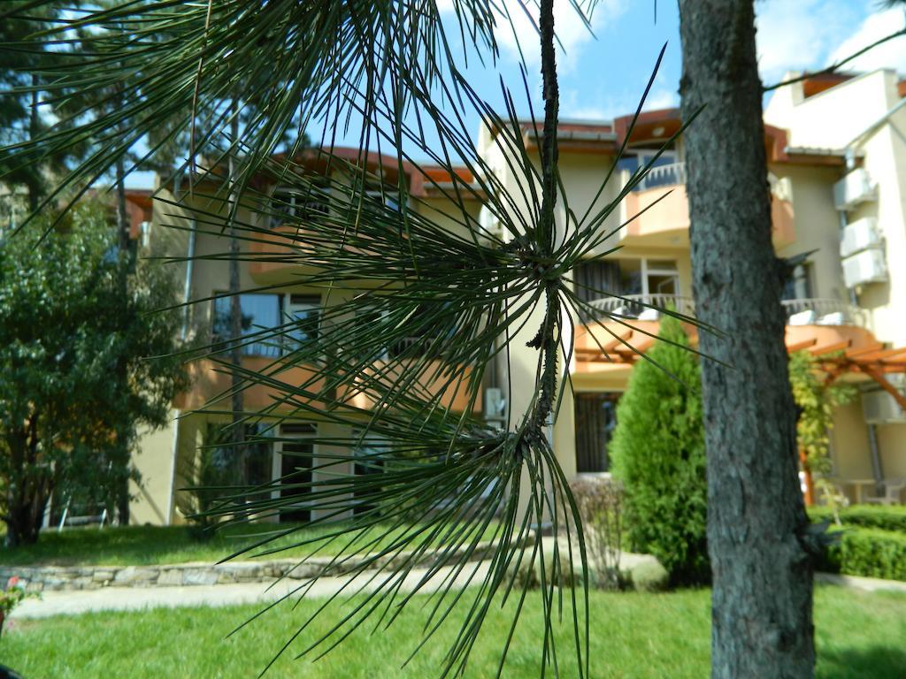 Family Hotel Privileg Σάνι Μπιτς Εξωτερικό φωτογραφία