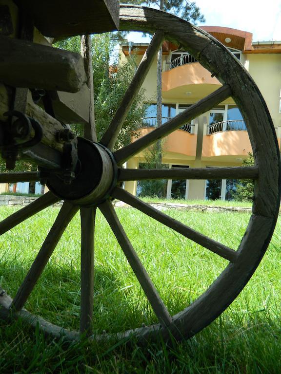 Family Hotel Privileg Σάνι Μπιτς Εξωτερικό φωτογραφία